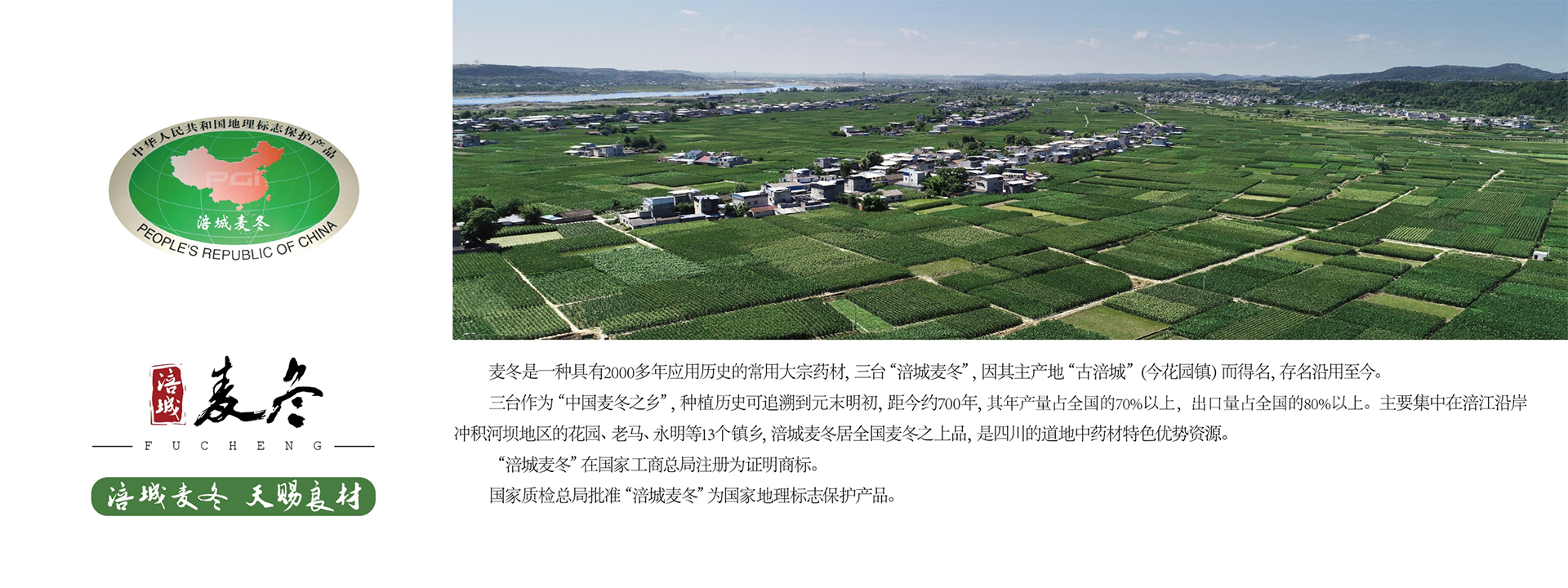 通栏图片